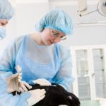 Animal Science Degree And Study Majors Guide