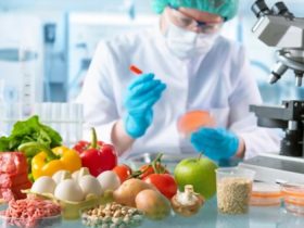 Food Science Degree Guide And Future Jobs