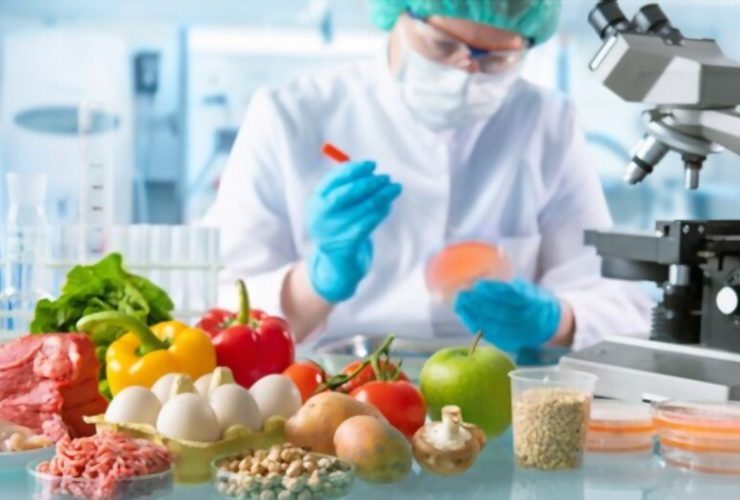 Food Science Degree Guide And Future Jobs