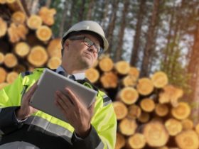 Forestry Degree Benefits Pros And Cons In 2022