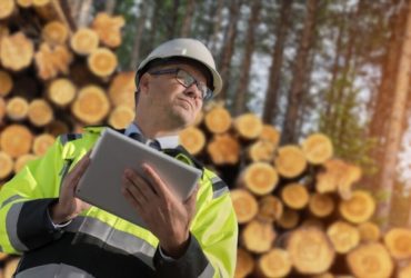 Forestry Degree Benefits Pros And Cons In 2022