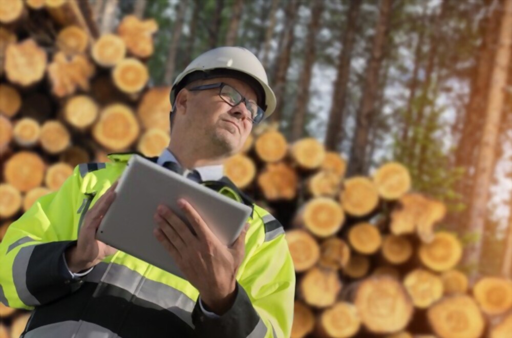 Forestry Degree Benefits Pros And Cons In 2022